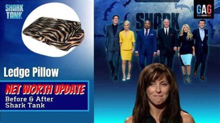 Ledge Pillow Shark Tank – Founder, Net Worth and Investment