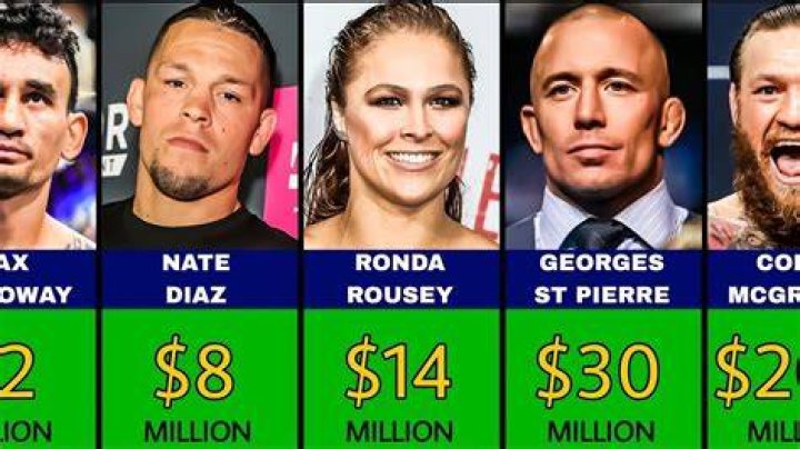UFC fighters net worth