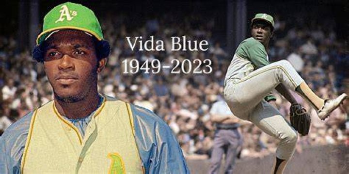 Vida blue