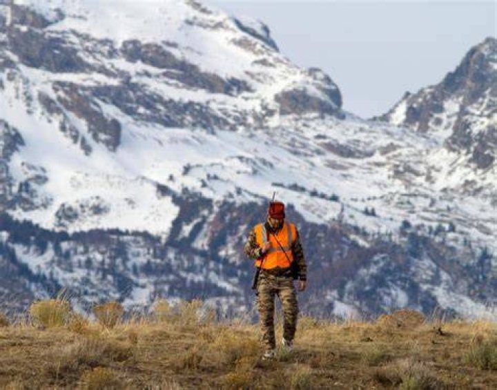 Wyoming hunting